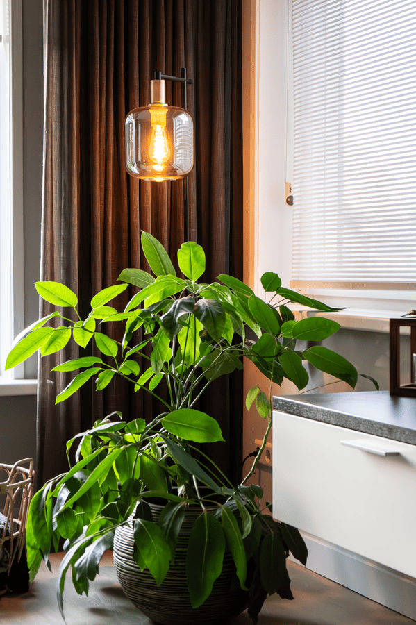Uitgebreid interieuradvies Schuinesloot Overijssel ontwerp, bank, poef, Arte behang, styling, interieuradvies, interieurontwerp